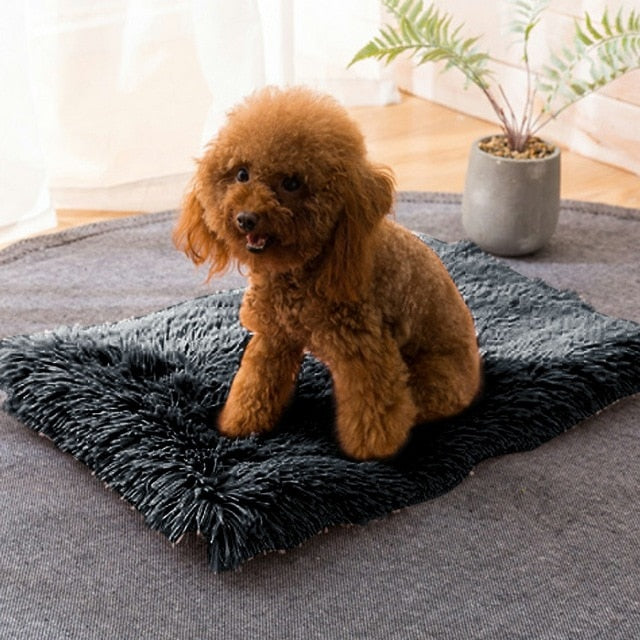 Winter Dog Bed Mat Soft Fleece Pet Cushion House Warm Puppy Cat Sleeping Bed Blanket For Small Large Dogs Cats Kennel Cama Perro