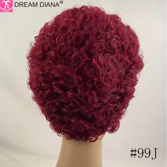 DreamDiana Malaysian Hair Wig Remy Short Natural Curly Glueless Human Wigs Pixie Cut Wig Ombre Short Machine Made Human Hair Wig